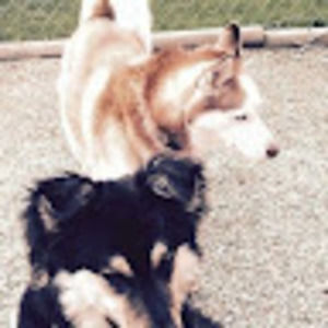 Meet your Posher, Sue